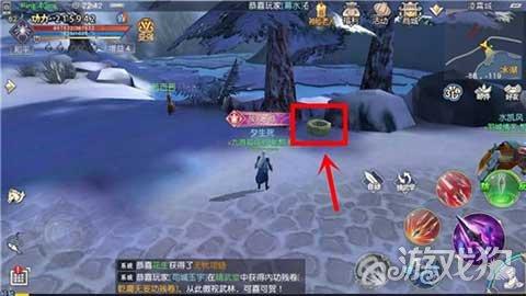 盐和避难所