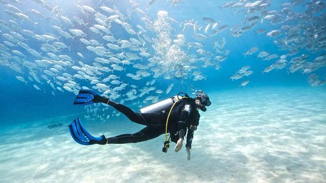 海底世界填颜色5